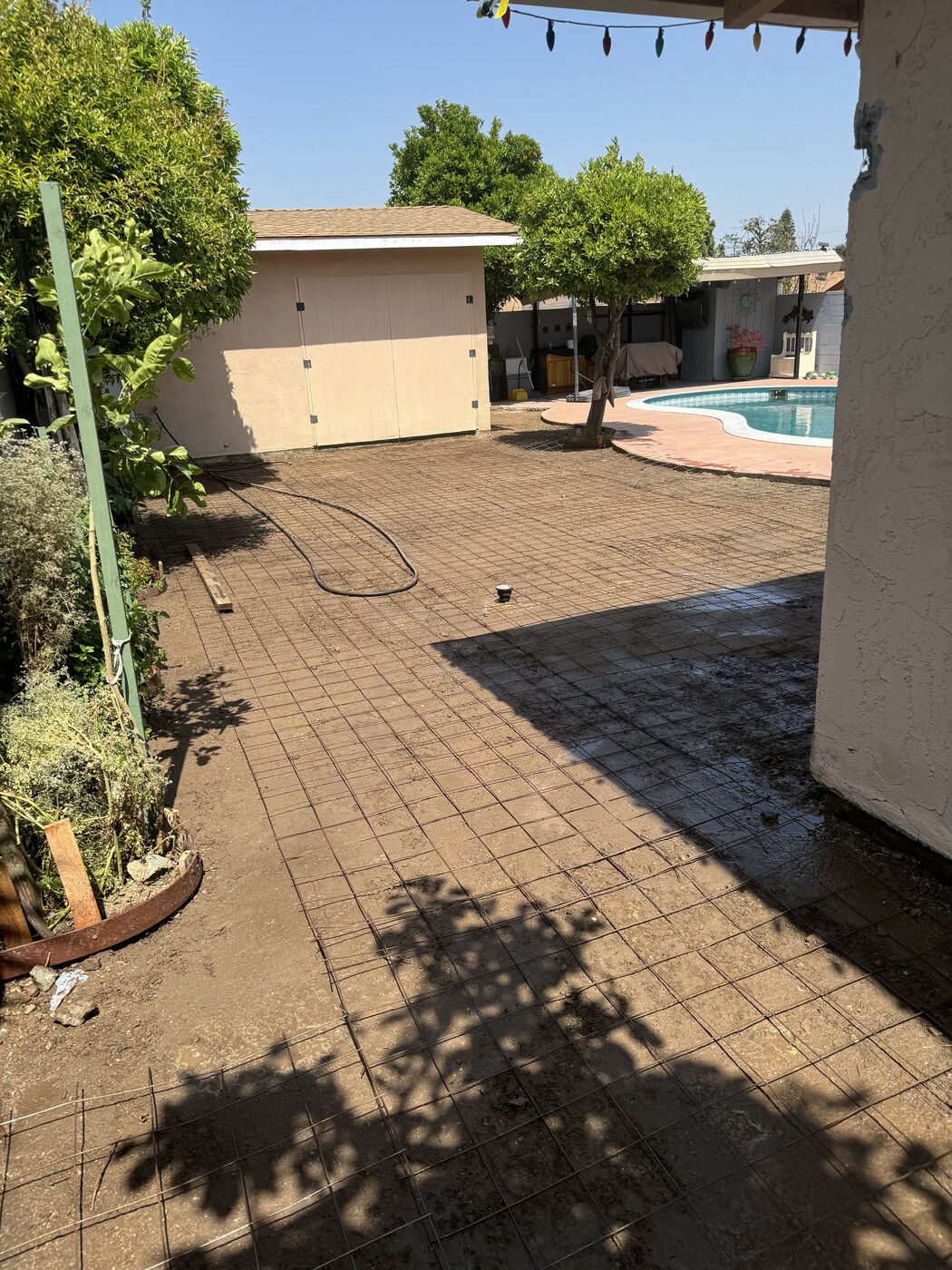 Concrete backyard initial stages